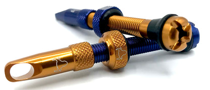 Insert Compatible Tubeless Valves