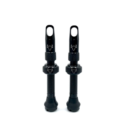 Insert Compatible Tubeless Valves