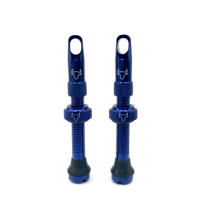 Insert Compatible Tubeless Valves