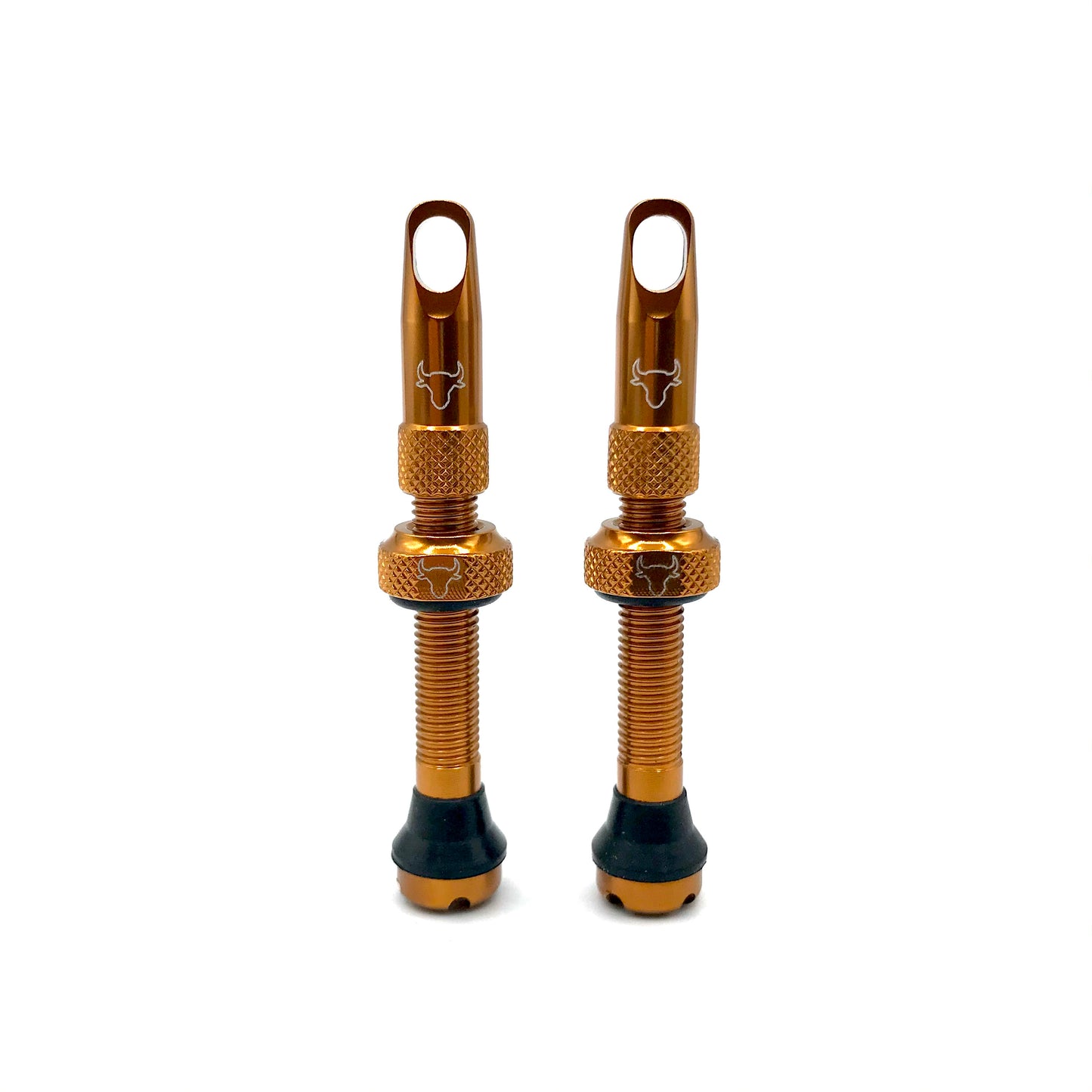 Insert Compatible Tubeless Valves