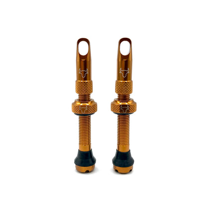 Insert Compatible Tubeless Valves
