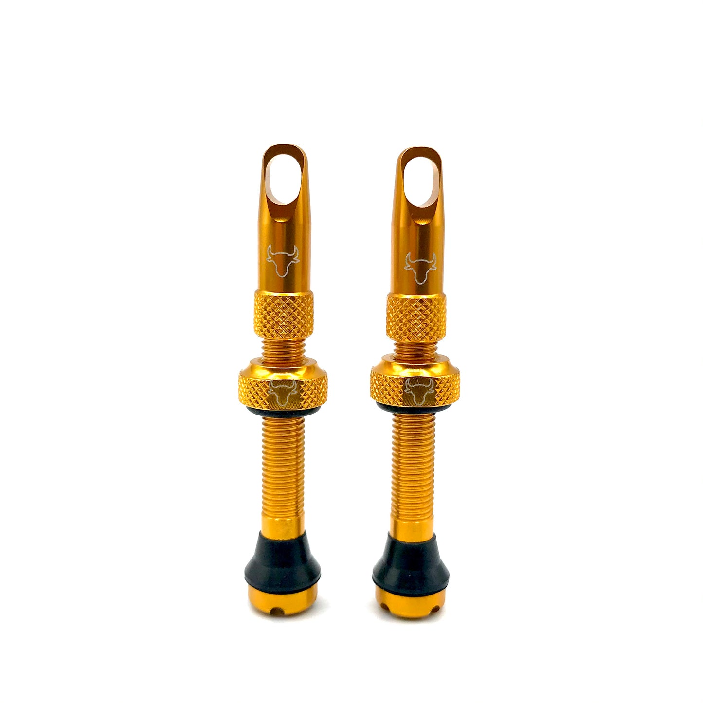 Insert Compatible Tubeless Valves
