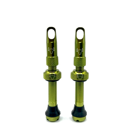 Insert Compatible Tubeless Valves