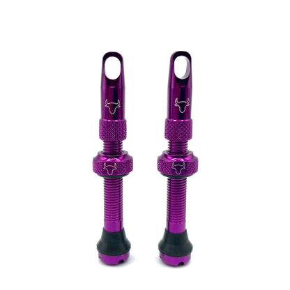 Insert Compatible Tubeless Valves
