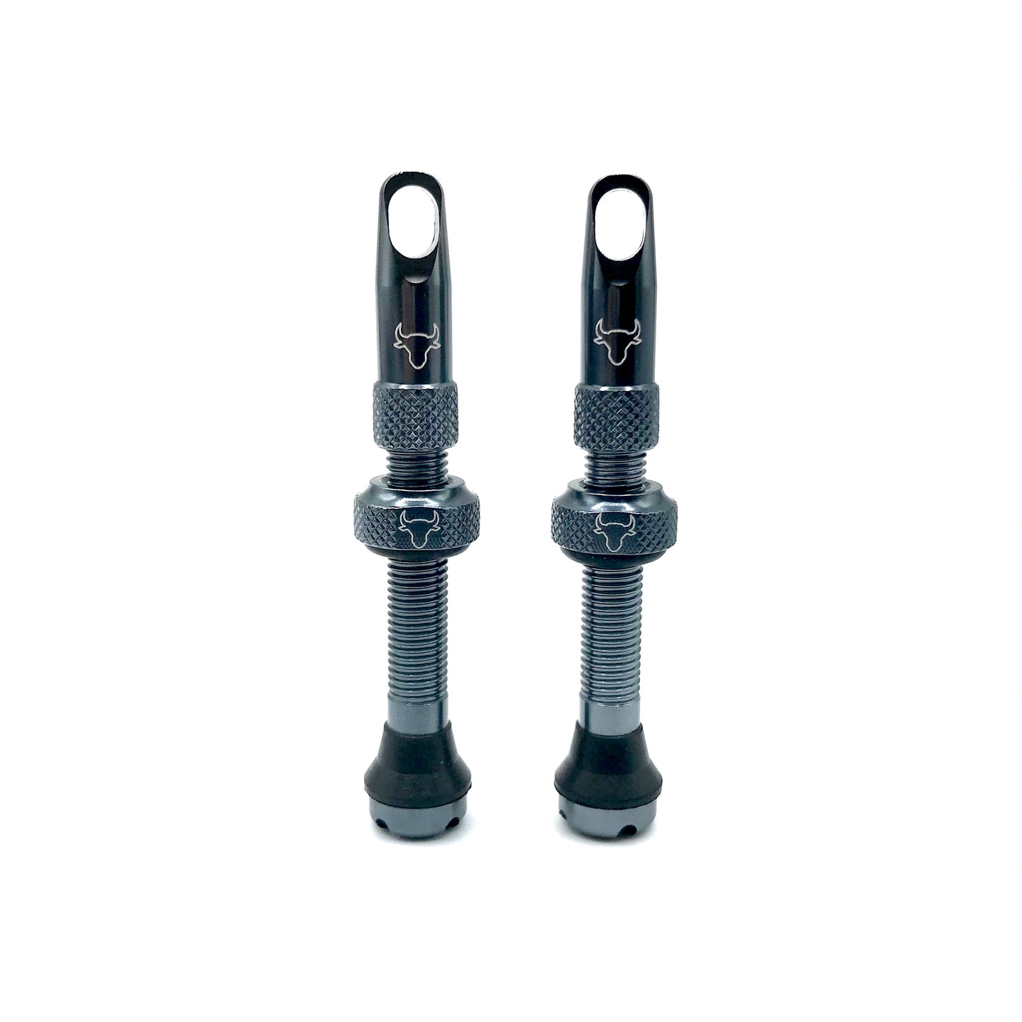 Insert Compatible Tubeless Valves