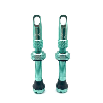 Insert Compatible Tubeless Valves