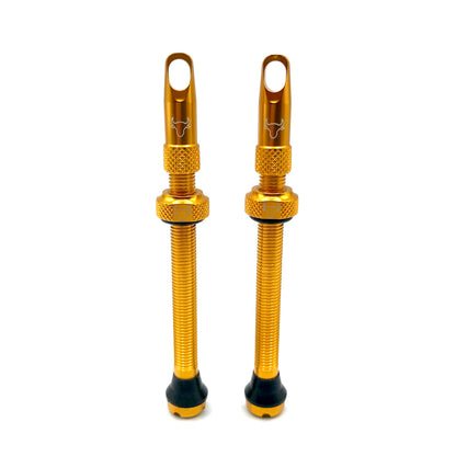Insert Compatible Tubeless Valves