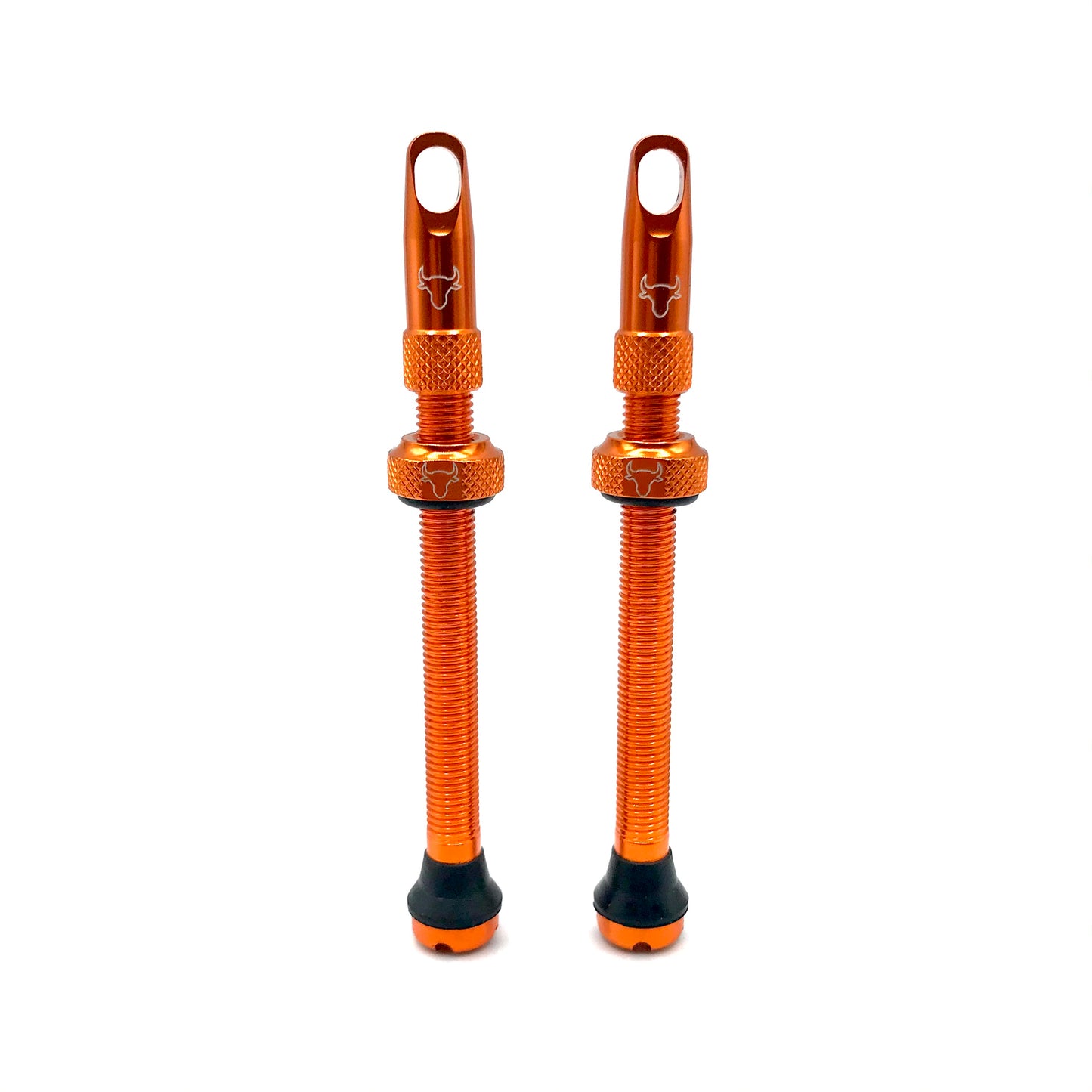 Insert Compatible Tubeless Valves