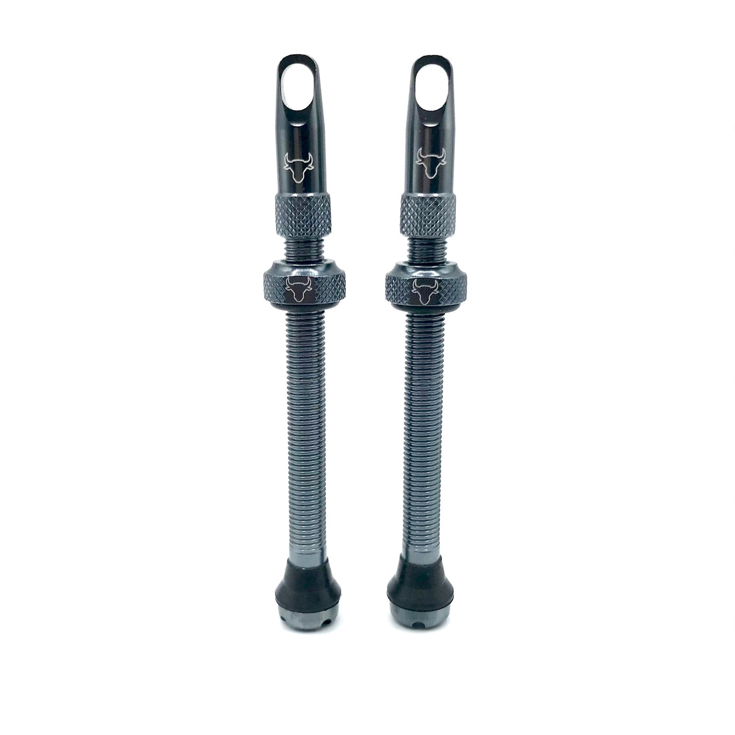 Insert Compatible Tubeless Valves