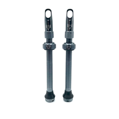 Insert Compatible Tubeless Valves