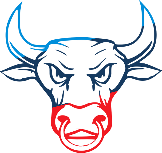 Hold Fast Coaching - Level 1 Plan