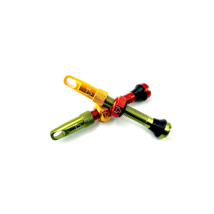 Insert Compatible Tubeless Valves
