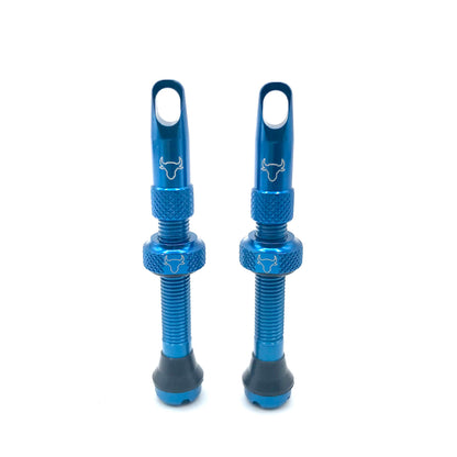 Insert Compatible Tubeless Valves